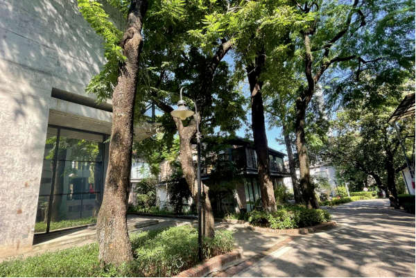 新仕誠公司順應(yīng)綠色發(fā)展潮流，堅定不移推進(jìn)園區(qū)生態(tài)文明建設(shè)